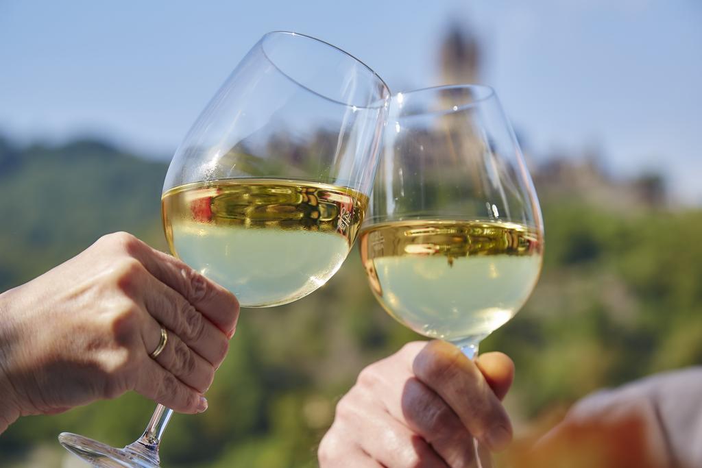 Flair Hotel Am Rosenhuegel - Garni Cochem Ngoại thất bức ảnh